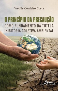 O princípio da precaução como fundamento da tutela inibitória coletiva ambiental