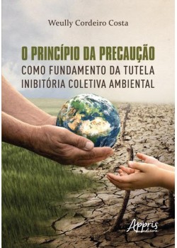 O princípio da precaução como fundamento da tutela inibitória coletiva ambiental