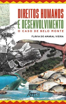 Direitos humanos e desenvolvimento - O caso de Belo Monte