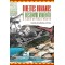 Direitos humanos e desenvolvimento - O caso de Belo Monte