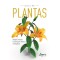 Plantas