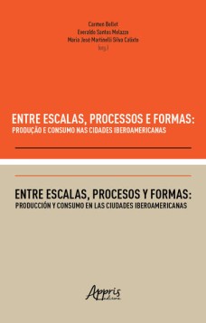 Entre Escalas, Processos e Formas