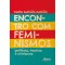 Encontro com Feminismos