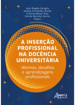 A Inserção Profissional na Docência Universitária