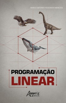 Programação Linear