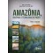 Amazônia, violência e tecnologias de poder