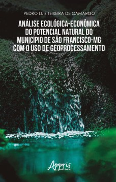 Análise ecológico econômica do potencial natural do município de São Francisco-MG com o uso de geoprocessamento