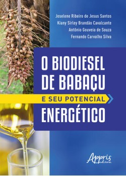 O Biodiesel de Babaçu e Seu Potencial Energético