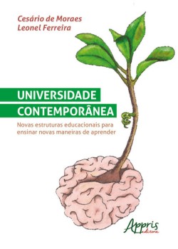 Universidade contemporânea: novas estruturas educacionais para ensinar novas maneiras de aprender