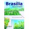 Brasília: o desafio da sustentabilidade ambiental para o século XXI