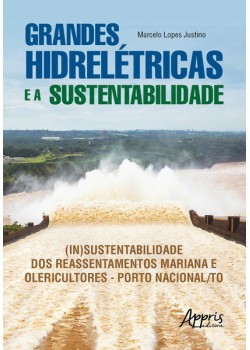 Grandes hidrelétricas e a sustentabilidade