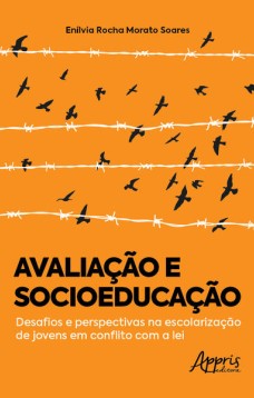 Avaliação e socioeducação: desafios e perspectivas na escolarização de jovens em conflito com a lei