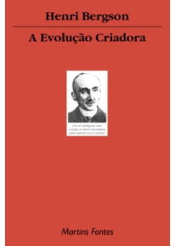 A evolução criadora