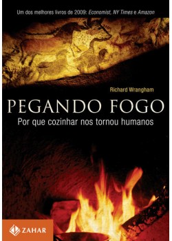 Pegando fogo