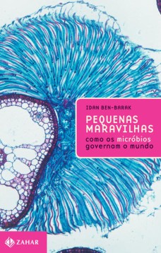 Pequenas maravilhas