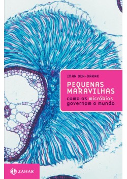 Pequenas maravilhas