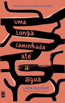 Uma longa caminhada até a água