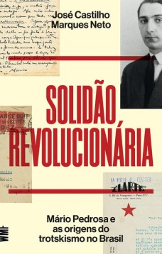 Solidão revolucionária