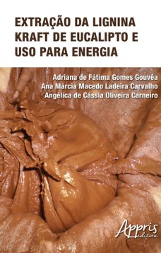 Extração da lignina kraft de eucalipto e uso para energia