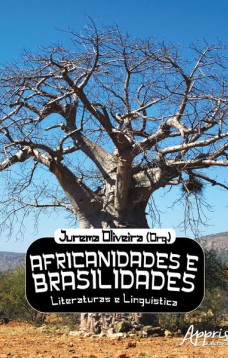 Africanidades e brasilidades