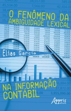 O fenômeno da ambiguidade lexical na informação contábil