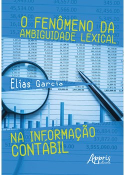 O fenômeno da ambiguidade lexical na informação contábil