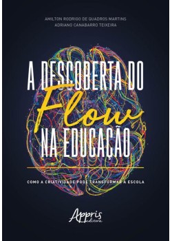 A descoberta do flow na educação: como a criatividade pode transformar a escola