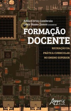 Formação docente: recriação da prática curricular no ensino superior