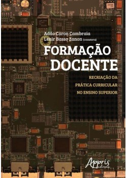 Formação docente: recriação da prática curricular no ensino superior