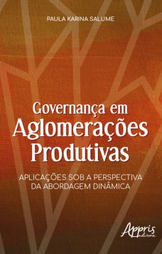 Governança em aglomerações produtivas: aplicações sob a perspectiva da abordagem dinâmica