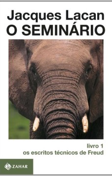 O Seminário, livro 1