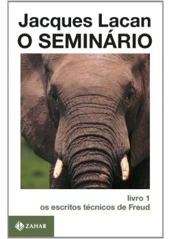 O Seminário, livro 1