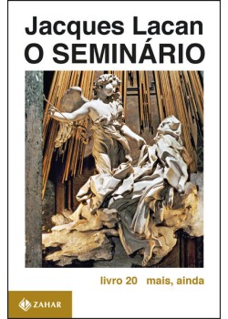 O Seminário, livro 20