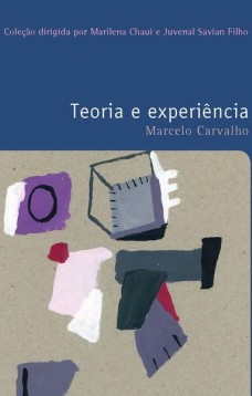 Teoria e experiência