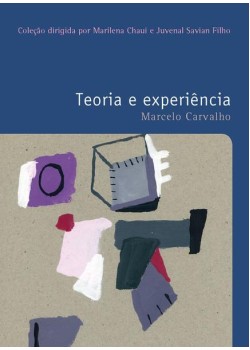 Teoria e experiência