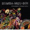 Bumba-meu-boi