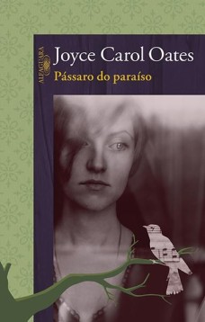 Pássaro do paraíso