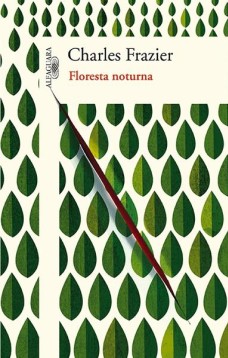 Floresta noturna