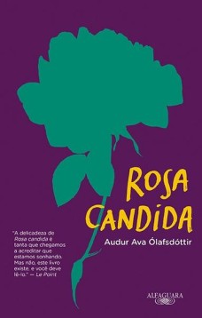 Rosa cândida