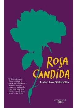 Rosa cândida