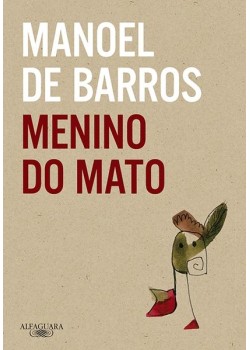 Menino do mato