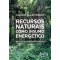 Recursos naturais como insumo energético